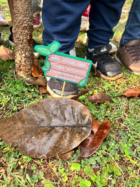 Prefeitura realiza comemorações durante a Semana do Meio Ambiente.