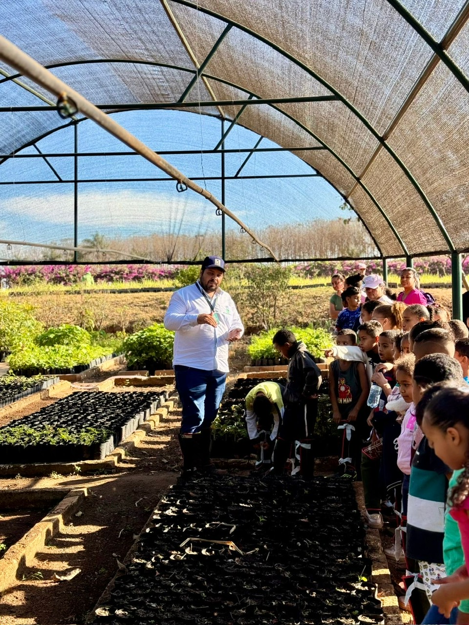 Prefeitura de Vista Alegre do Alto realiza ações de educação ambiental em comemoração ao “Dia da Árvore”