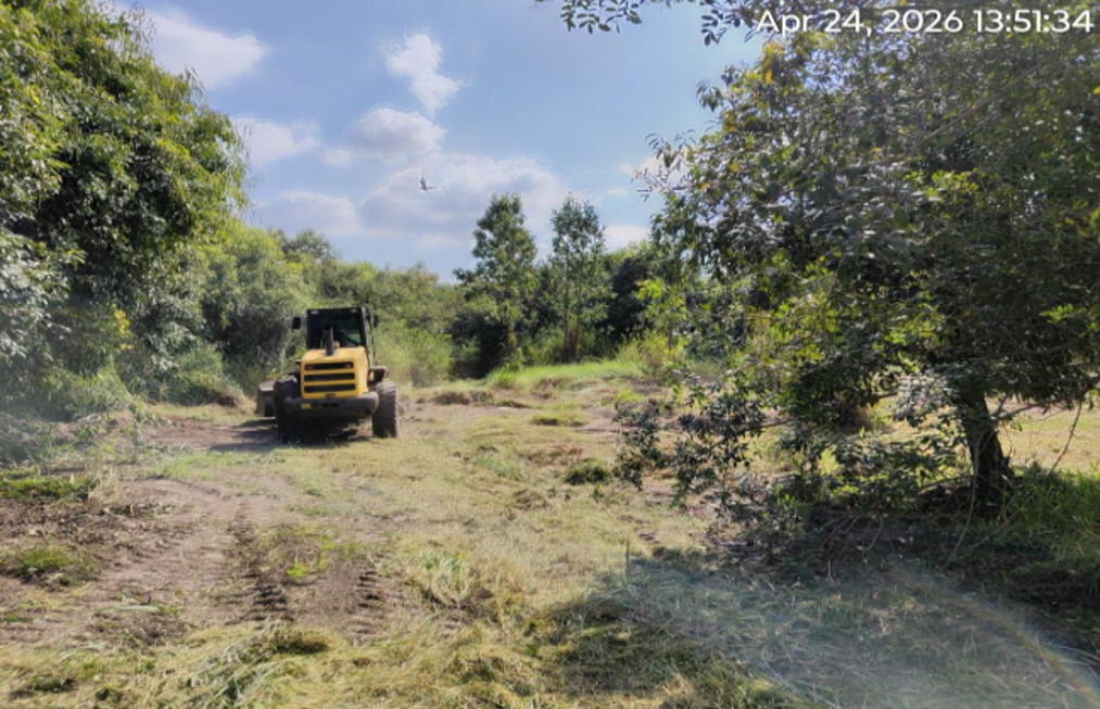 Prefeitura de Vista Alegre do Alto tem incentivado ações de restauração ecológica por meio da lei de PSA.