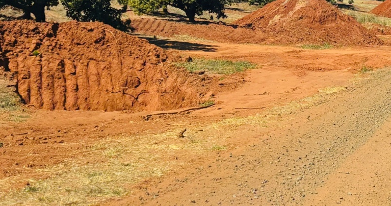 Prefeitura de Vista Alegre do Alto continua promovendo ações voltadas ao controle de assoreamento em corpos hídricos.